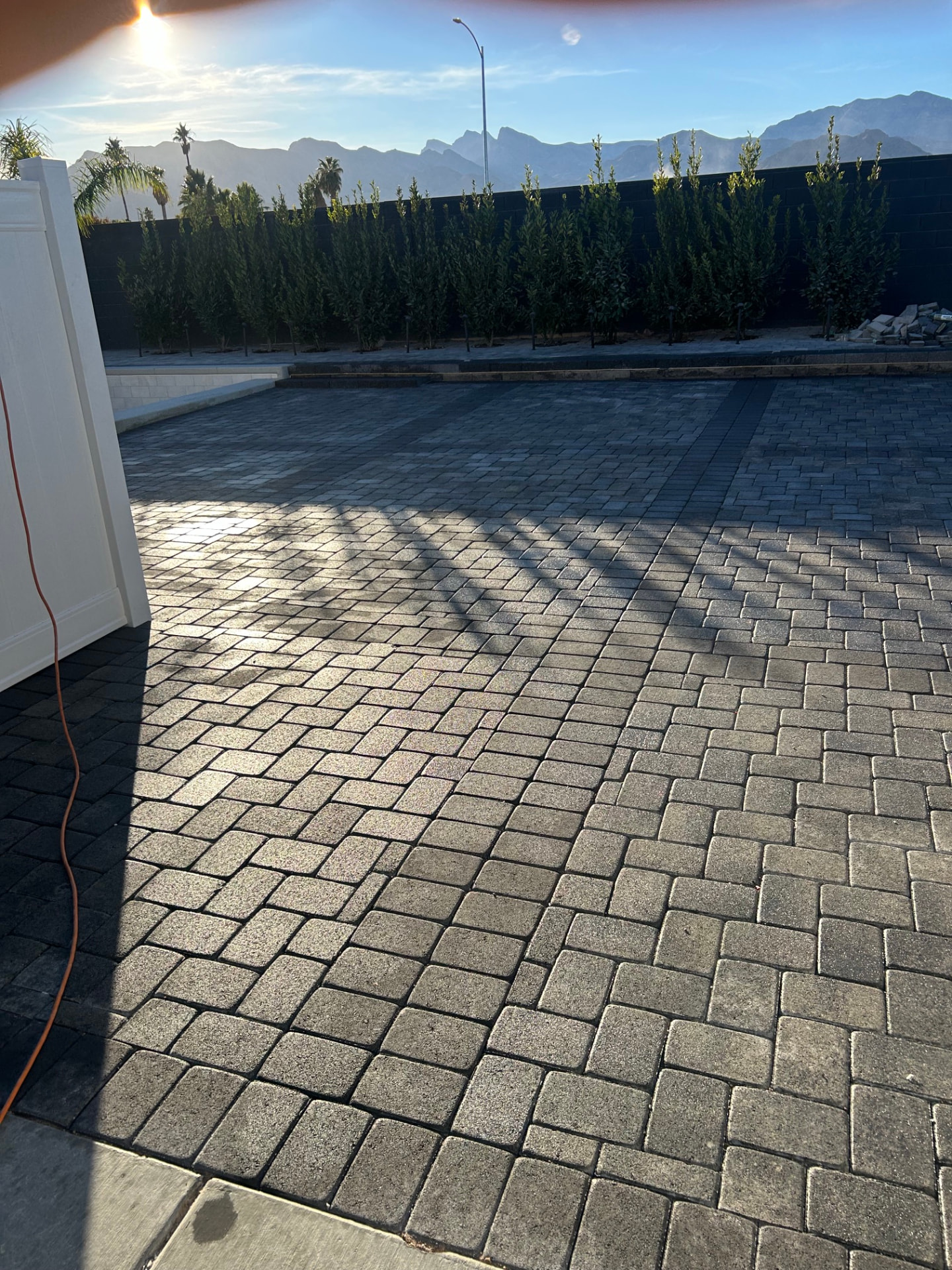 Paver patio at sunset with newly planted privacy trees
