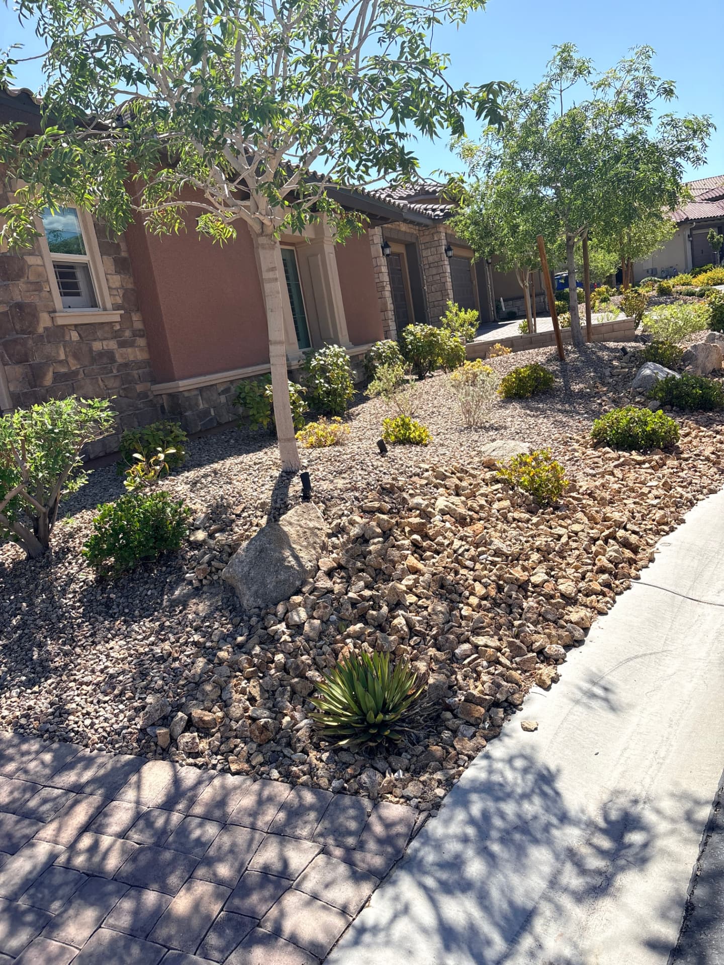 Finished low-water desert landscape with trees and shrubs