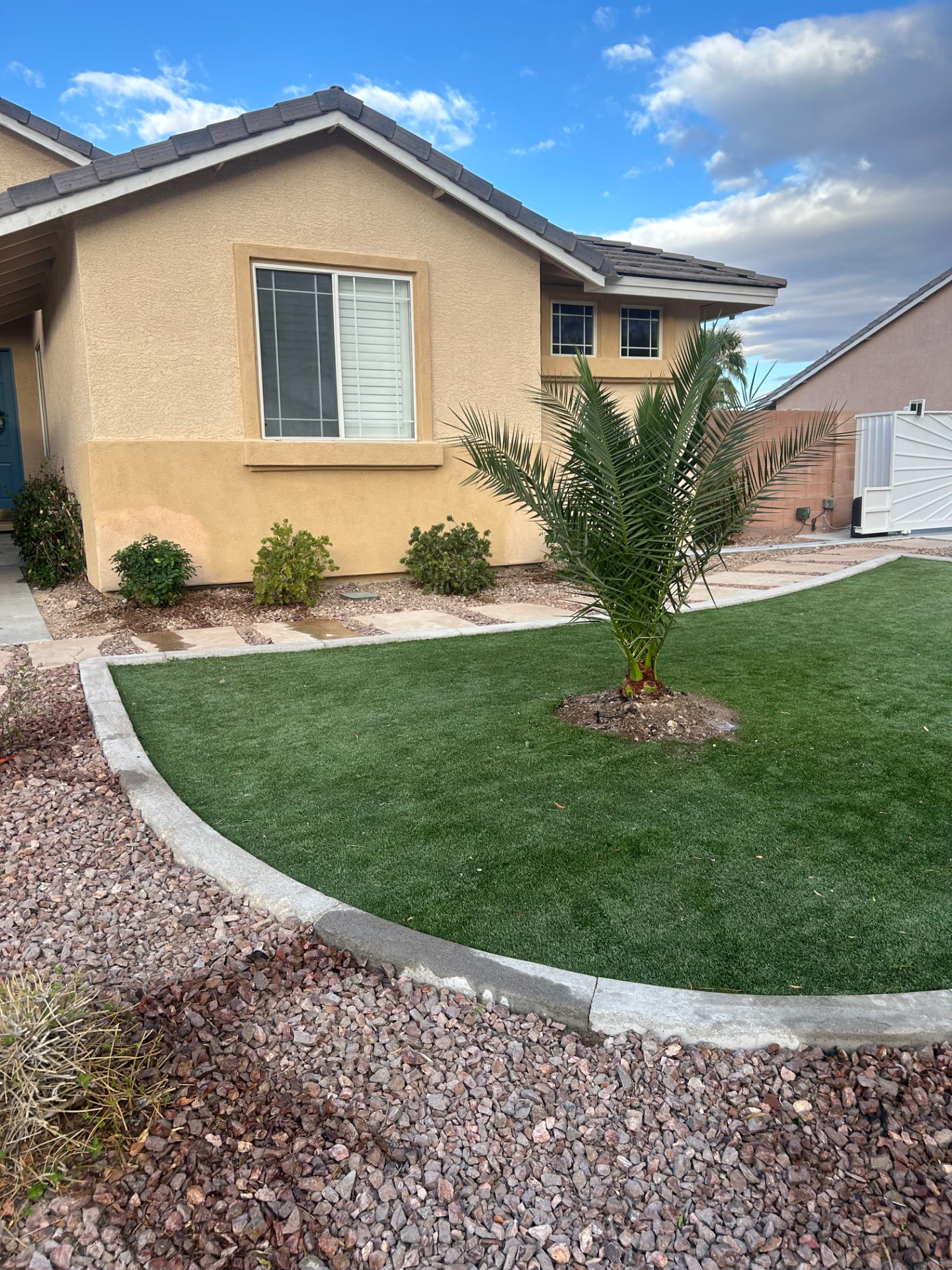 Front yard artificial turf with palm tree and curved concrete curbing